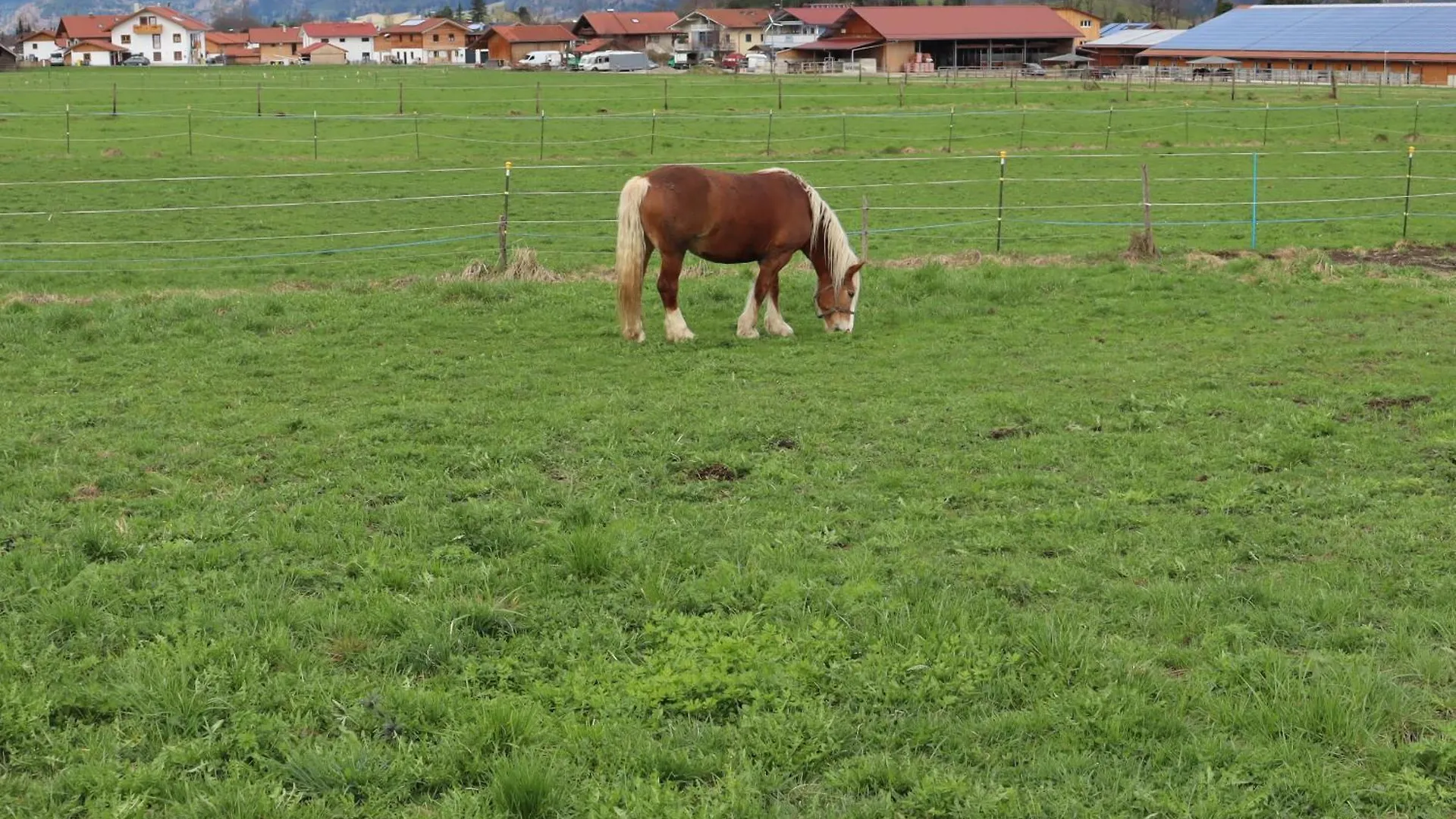 Fewo Bader Ohlstadt Germany